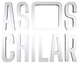 Asoschilar Consulting